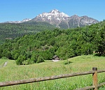 orrid17 034m